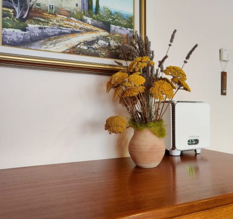 Ionizator Jonix Cube